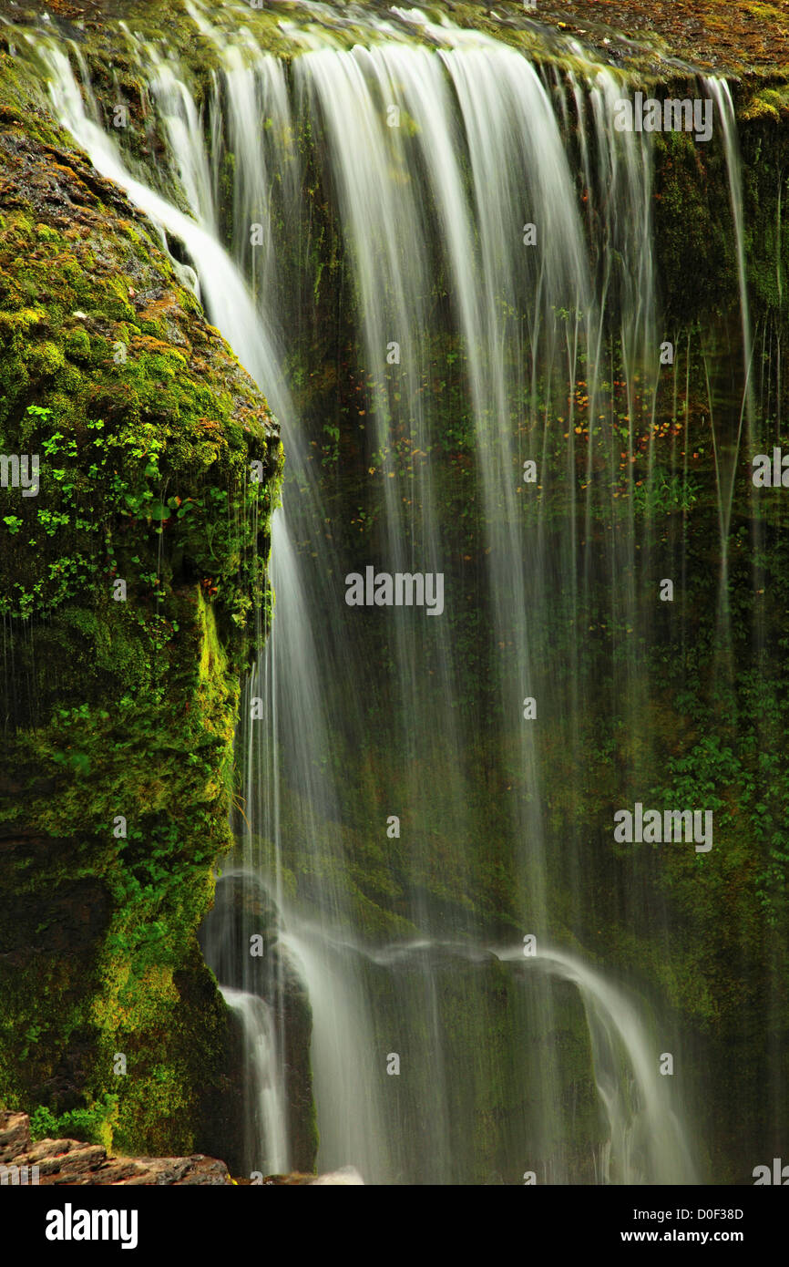Lower Lewis River Falls in Gifford Pinchot National Forest Stock Photo ...