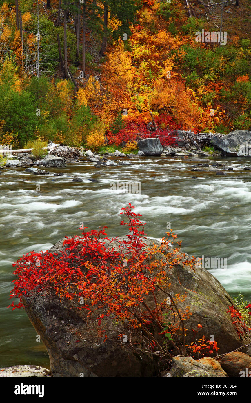 Fall color and Wenatchee River in Tumwater Canyon Stock Photo Alamy
