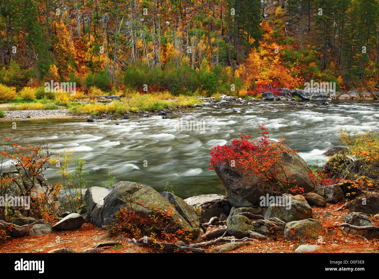 Fall color and Wenatchee River in Tumwater Canyon Stock Photo Alamy