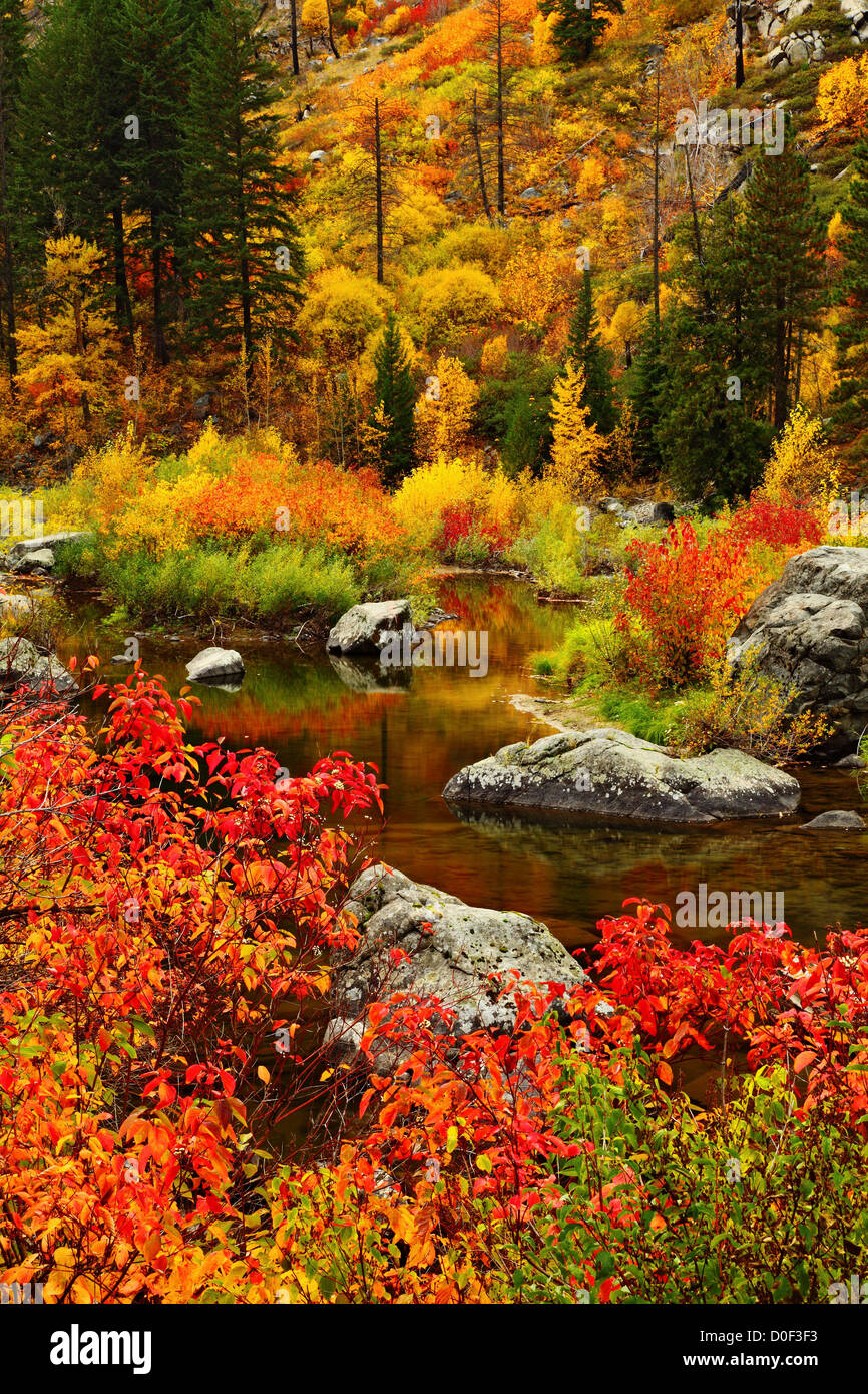 Fall color on the Wenatchee River in Tumwater Canyon Stock Photo Alamy