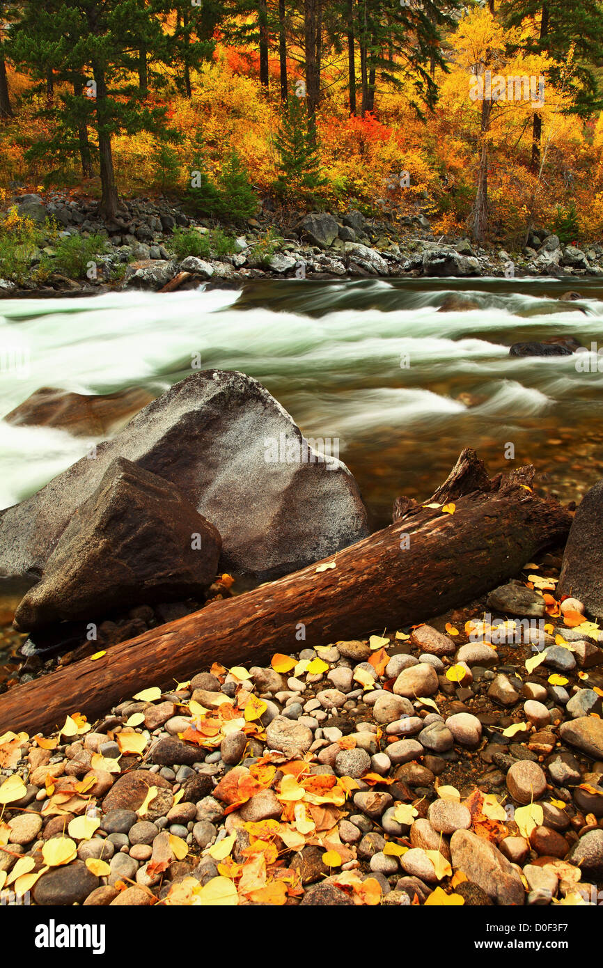 Fall color on the Wenatchee River in Tumwater Canyon Stock Photo Alamy