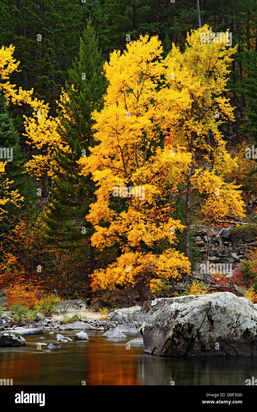 Fall color on the Wenatchee River in Tumwater Canyon Stock Photo Alamy
