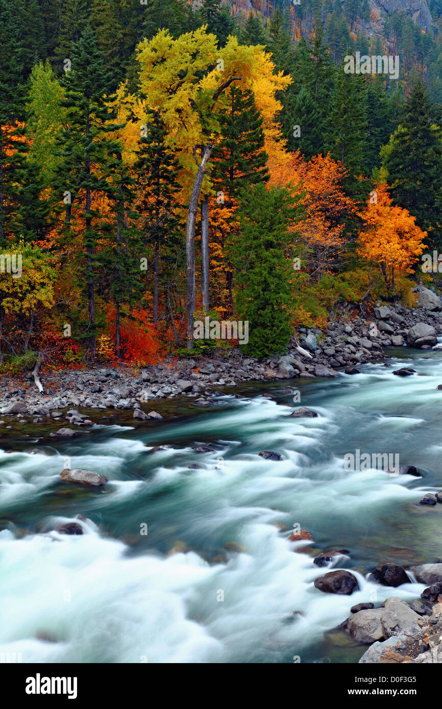 Wenatchee river people hi-res stock photography and images - Alamy