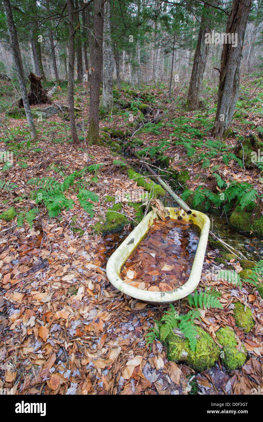 Artifacts from the abandoned cabin settlement surrounding Elbow Pond in Woodstock, New Hampshire