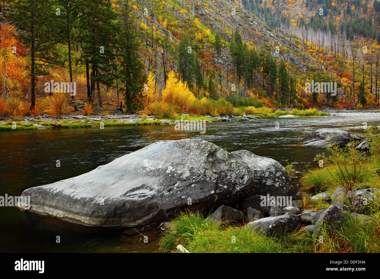 Fall color on the Wenatchee River in Tumwater Canyon Stock Photo Alamy