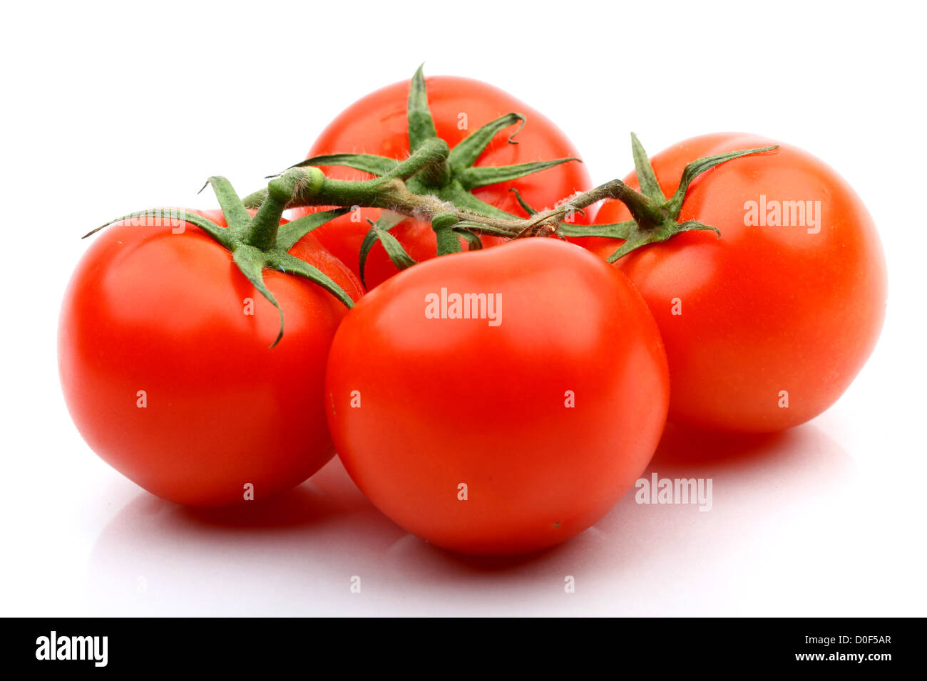 tomatos isolated on white background close up Stock Photo - Alamy