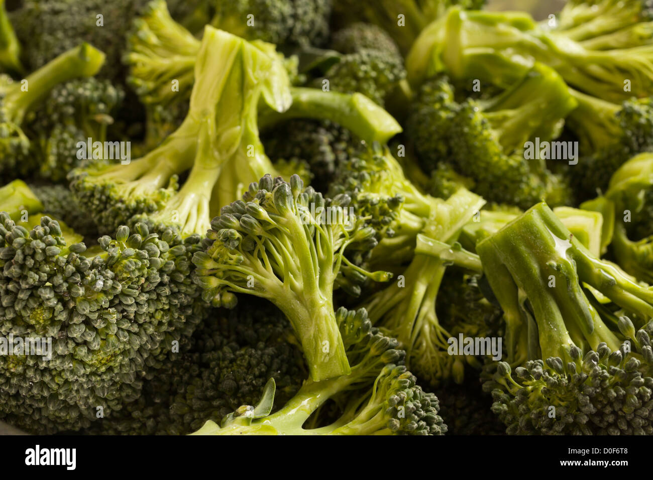 Raw florets of Broccoli Stock Photo