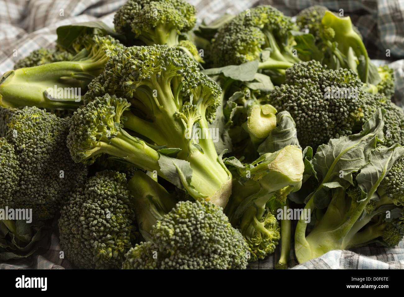 Raw florets of Broccoli Stock Photo Alamy