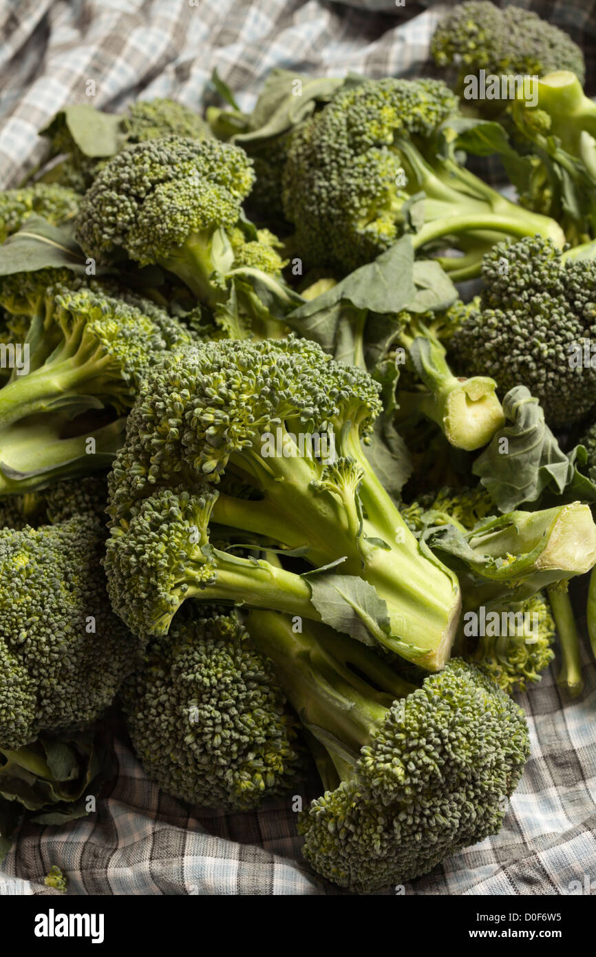 raw broccoli florets Stock Photo