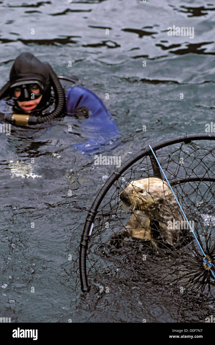 Exxon Valdez Oil Spill High Resolution Stock Photography and Images Alamy
