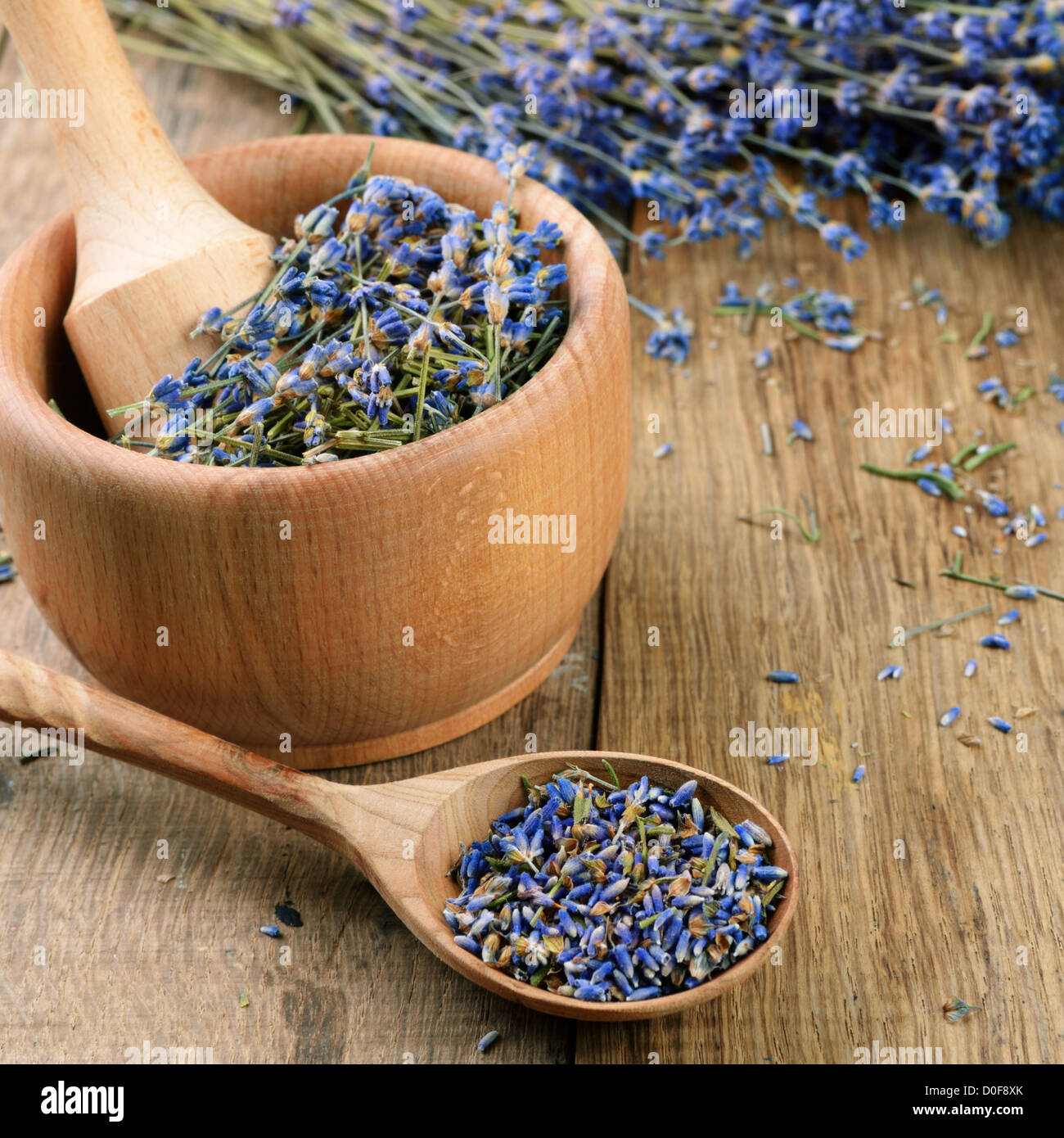 Pestle and mortar with lavender flowers with copyspace Stock Photo Alamy