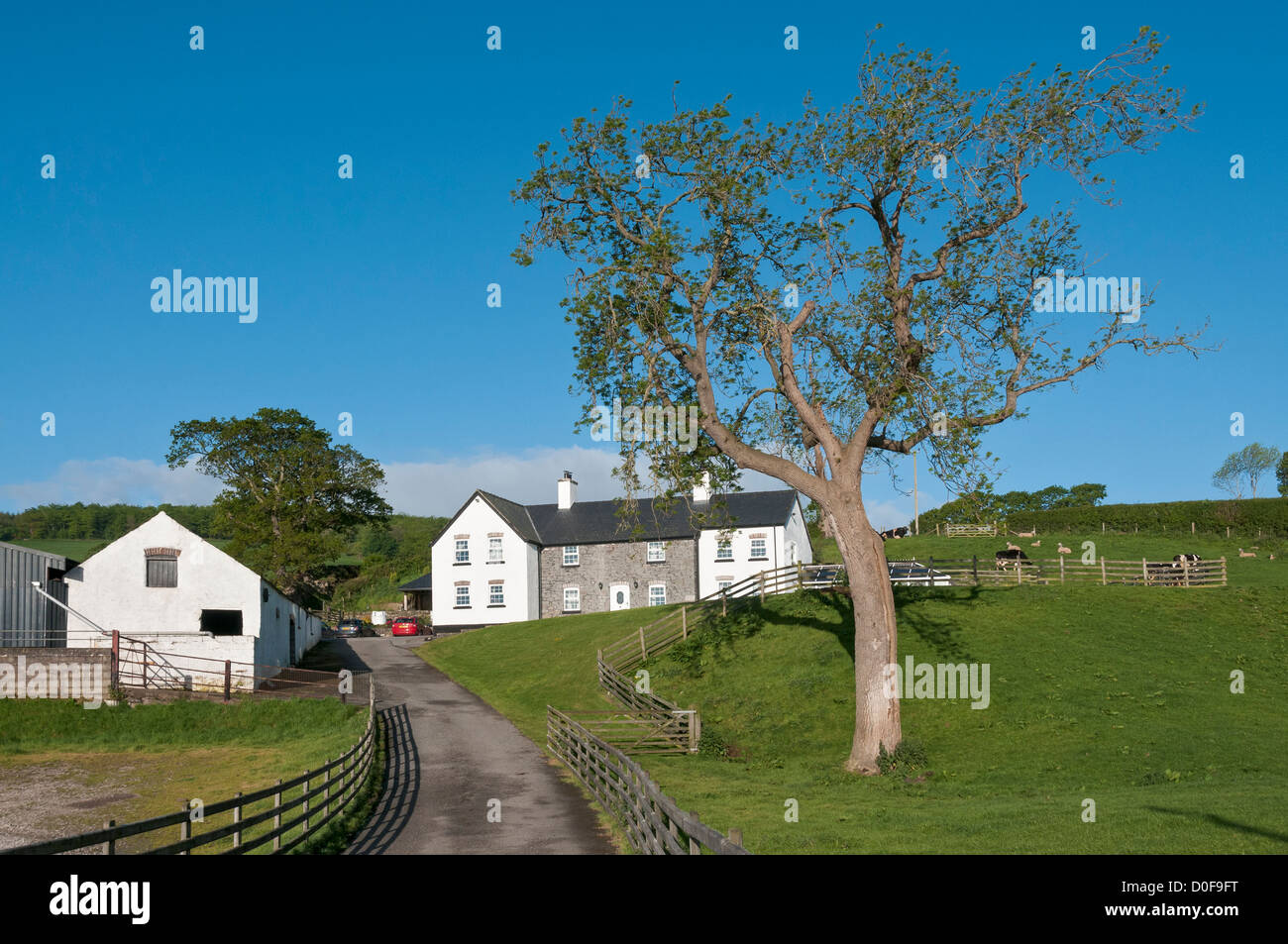 Wales, County Conwy, Bryn Dansi Farmhouse, farmstay bed and breakfast