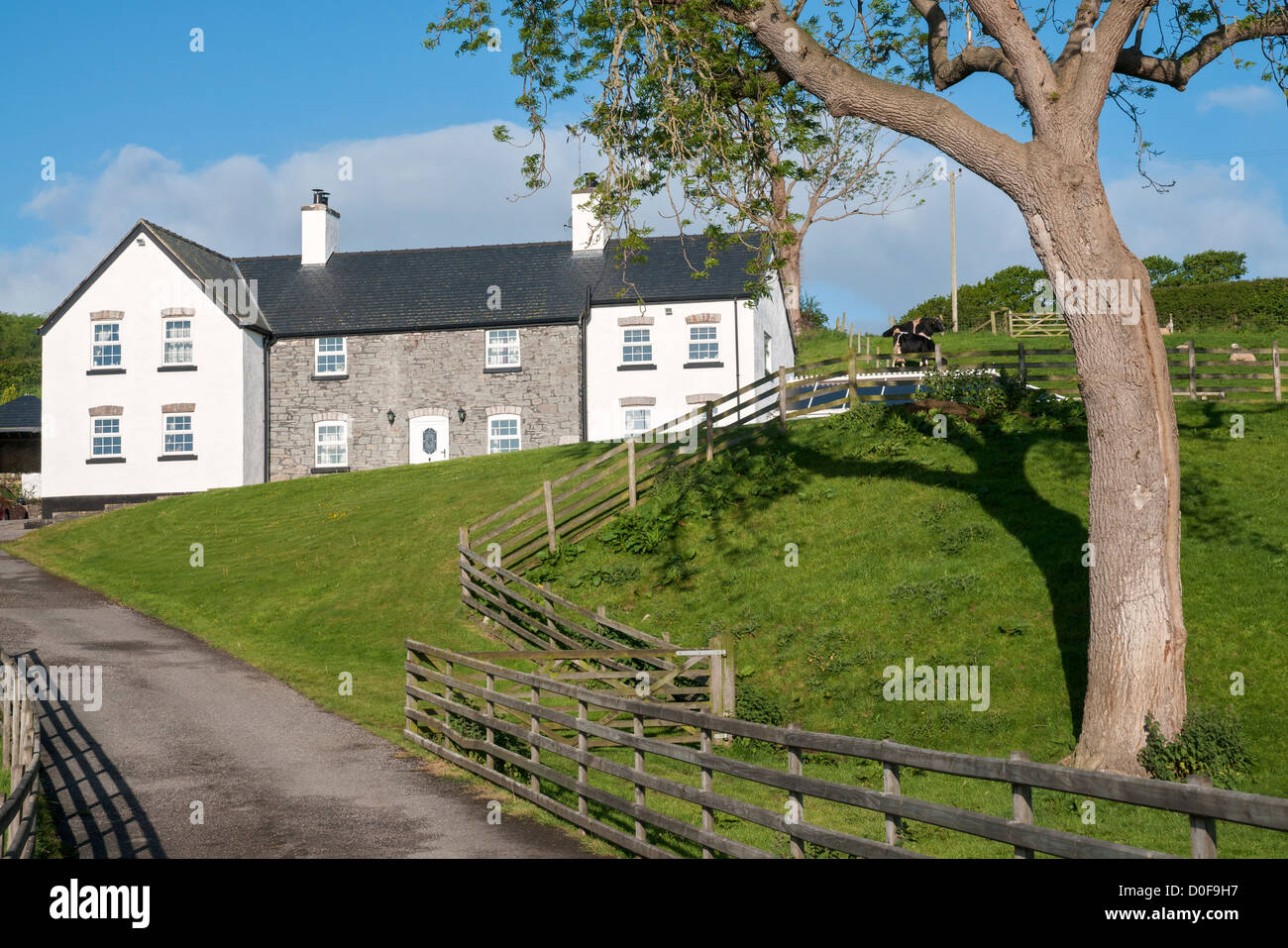 Wales, County Conwy, Bryn Dansi Farmhouse, farmstay bed and breakfast  accommodation lodging, working farm Stock Photo - Alamy