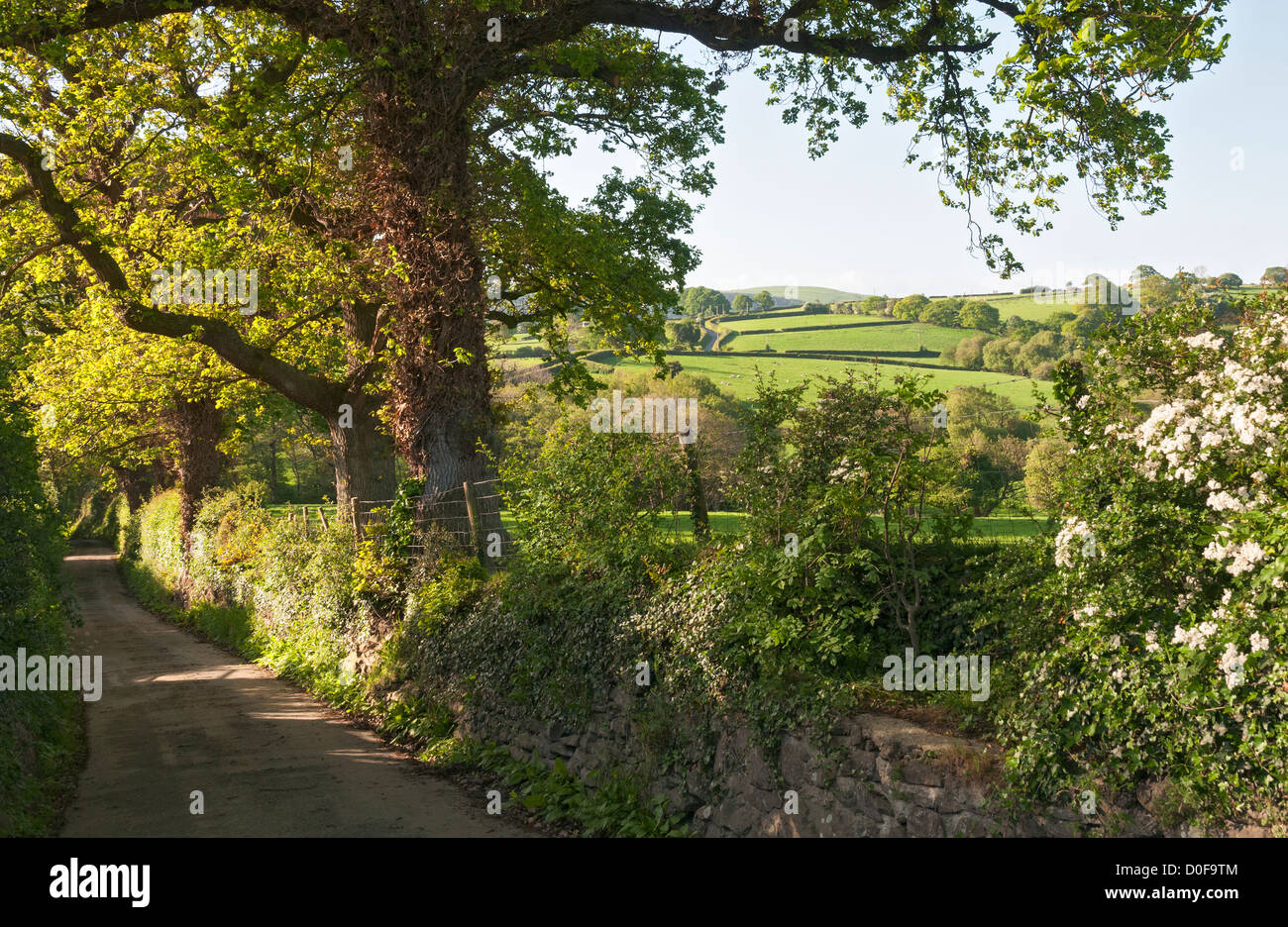 Welsh farm land hires stock photography and images Alamy