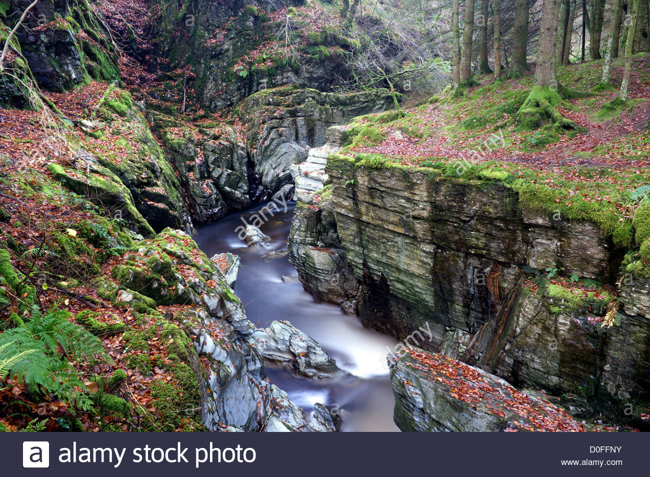 Cut Bank Stream German Cut Bank Stream German