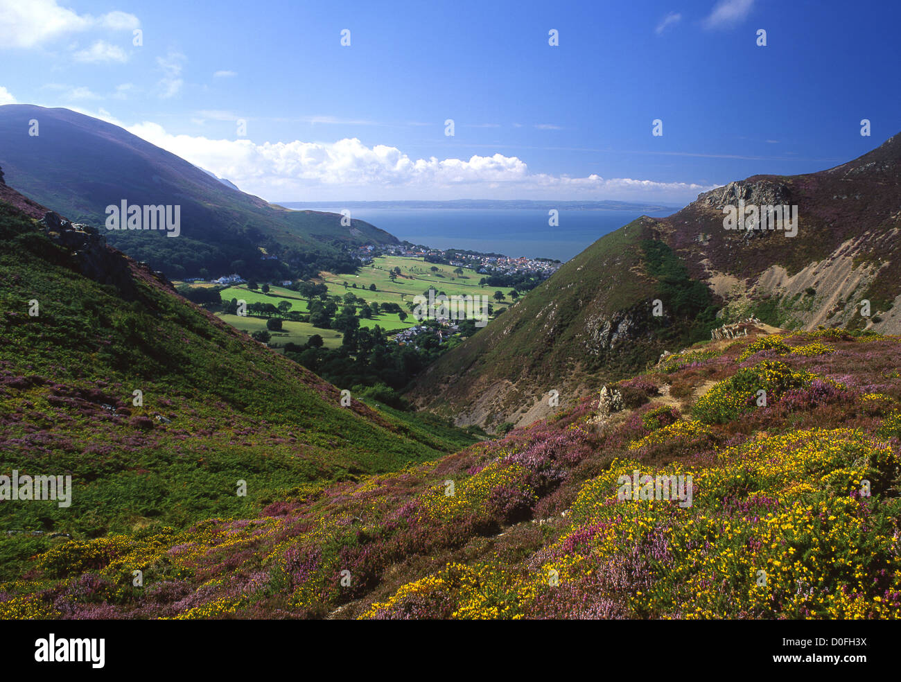 View of penmaenmawr mountain hires stock photography and images Alamy