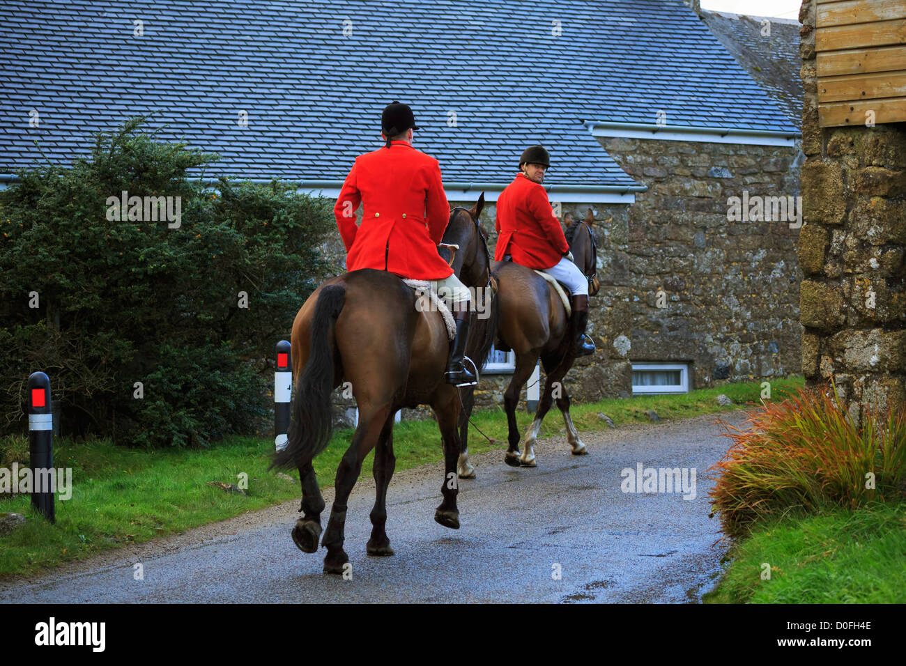 Hunters on horseback in traditional red coats, Cornwall Stock Photo - Alamy