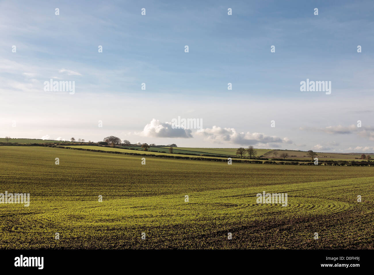 Patterns in newly sown crops made by the Autumn sun, East Yorkshire, England Stock Photo