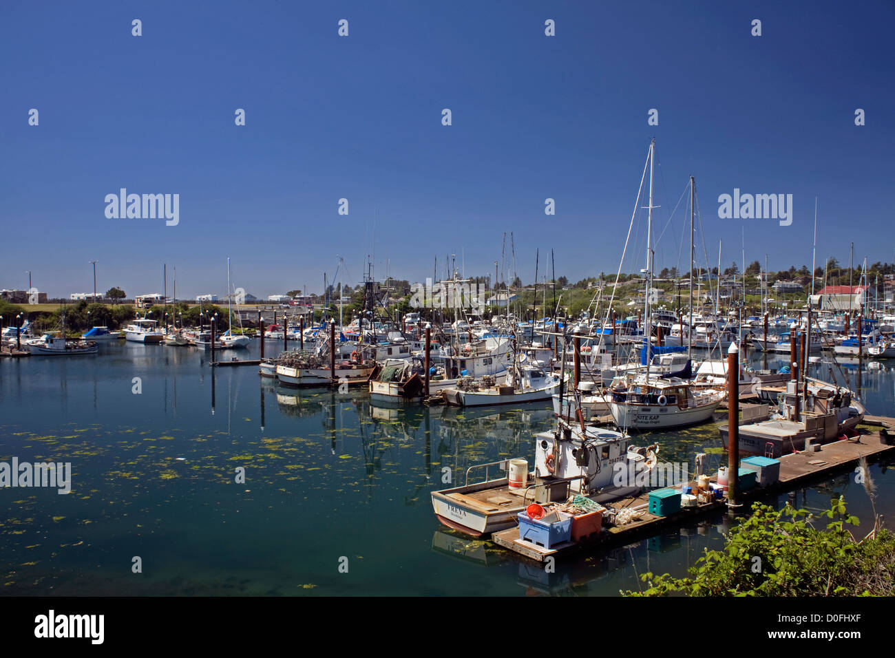 OR00219-00...OREGON - The Port Of Brookings Harbor at Brookings. Stock Photo