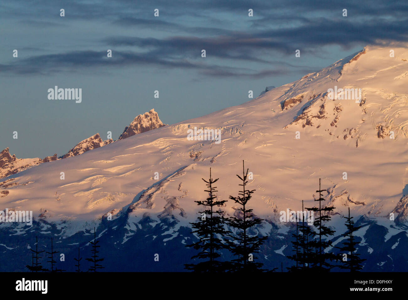 Mt Baker at Sunrise, Mt BakerSnoqualmie National Forest, Washington Stock Photo Alamy
