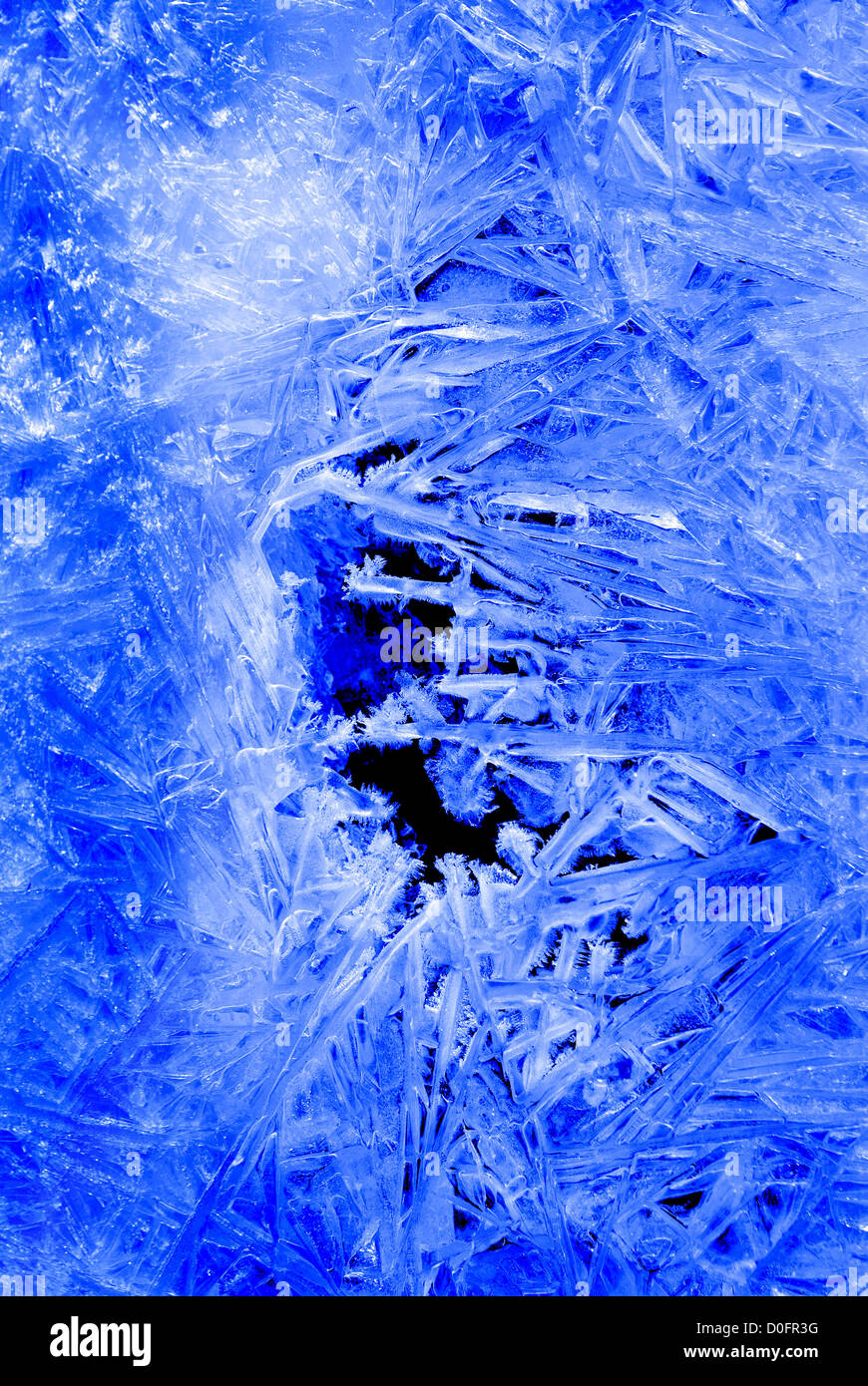 Frost covered plants hi-res stock photography and images - Alamy