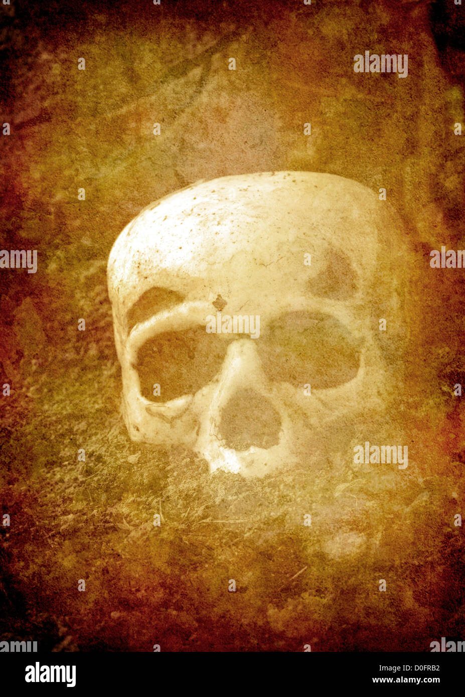 Skull in dirt with sepia tone Stock Photo