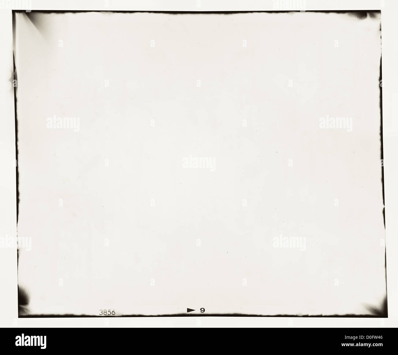 medium format film frame with grain and light leaks Stock Photo Alamy