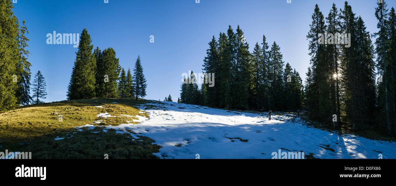 Panoramic view of partial snow covered mountain pasture of the Moosenalm, Karwendel, Alps Stock Photo