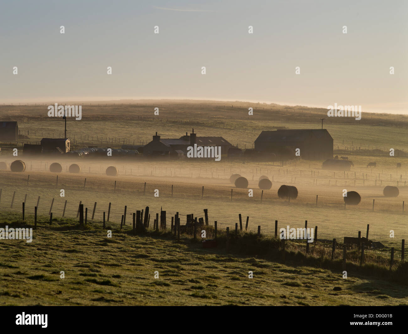 dh Orkney farmhouse field farm UK ORPHIR ORKNEY Bales hay early morning mist british autumn dew rural landscape misty farming foggy light house Stock Photo