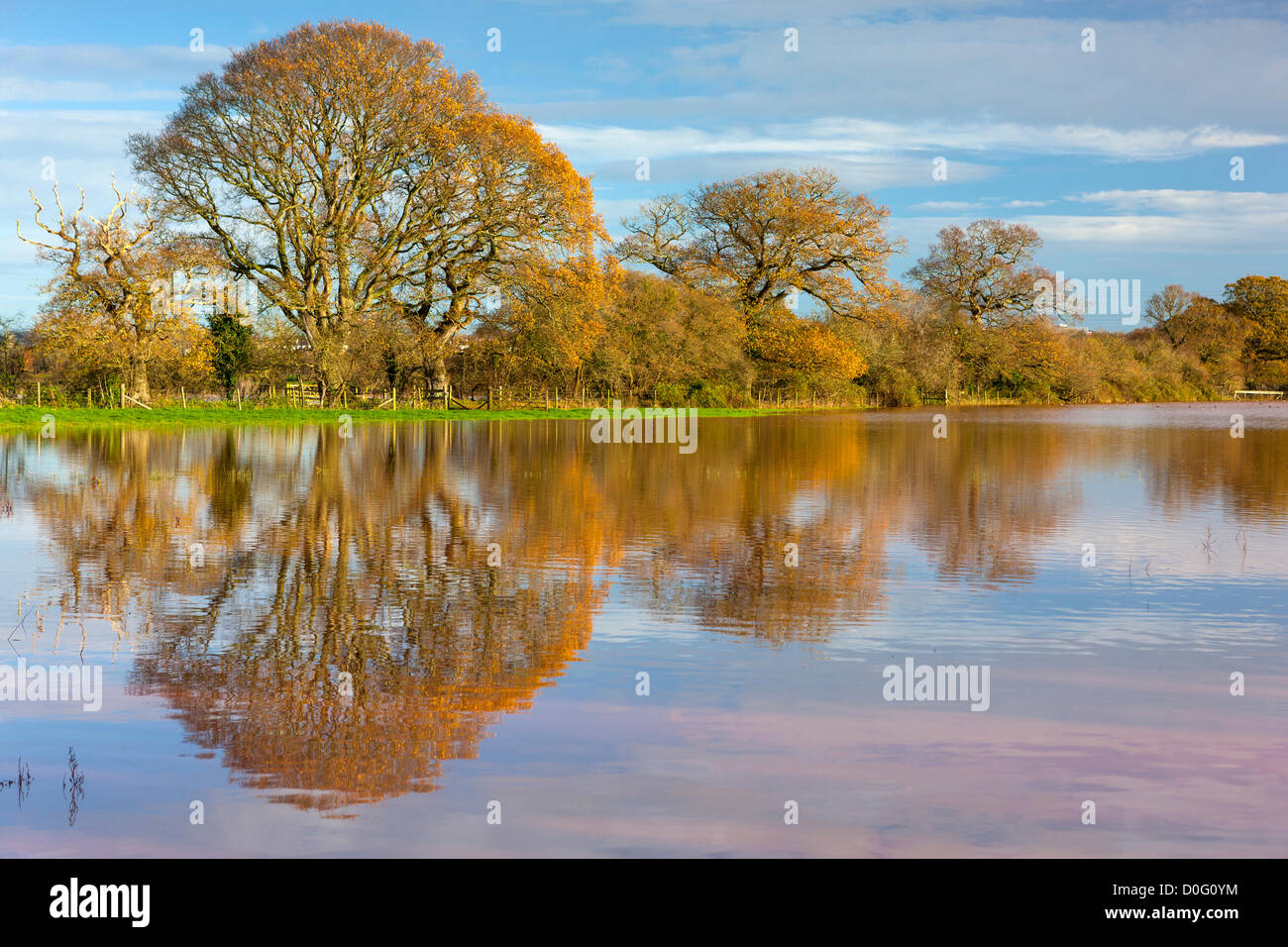 Exeter, UK. 25th November, 2012. Flooded meadows by the River Exe in the Exe Valley after heavy rain in Devon last night. Stock Photo