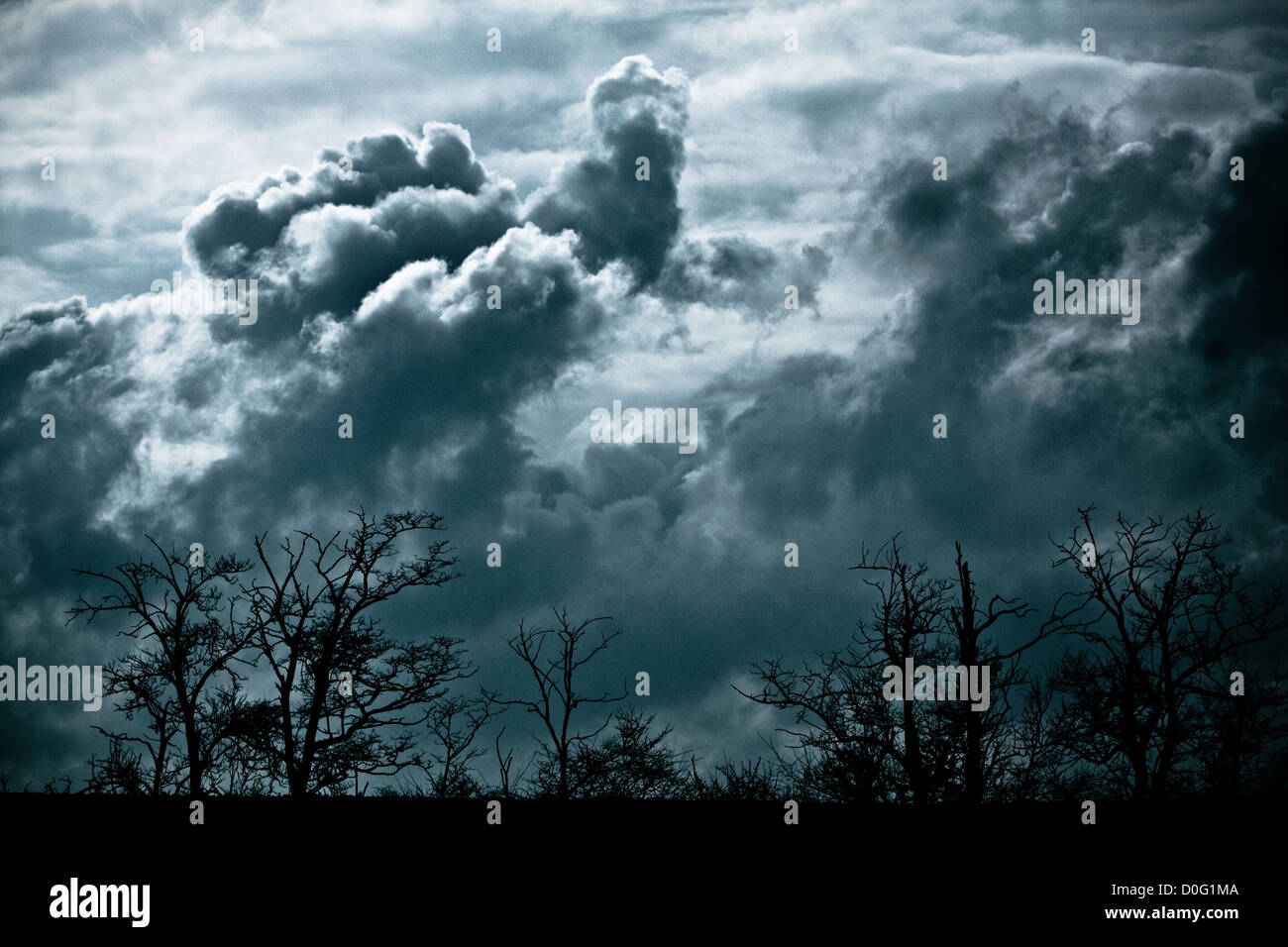 Storm clouds brewing over forest Stock Photo - Alamy