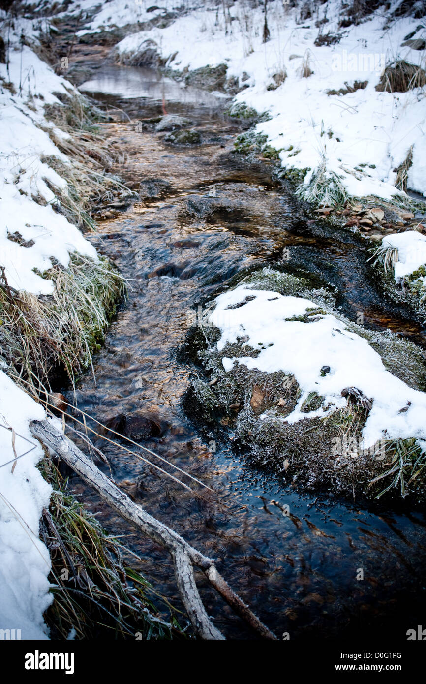 The clear spring water flowing over the stone in the valley creek Stock ...