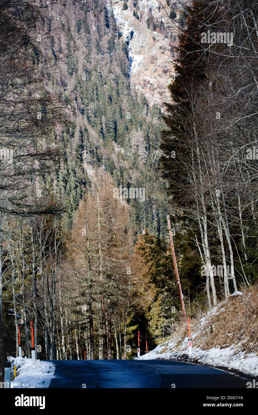 A mountain road winds past golden aspen trees Stock Photo - Alamy