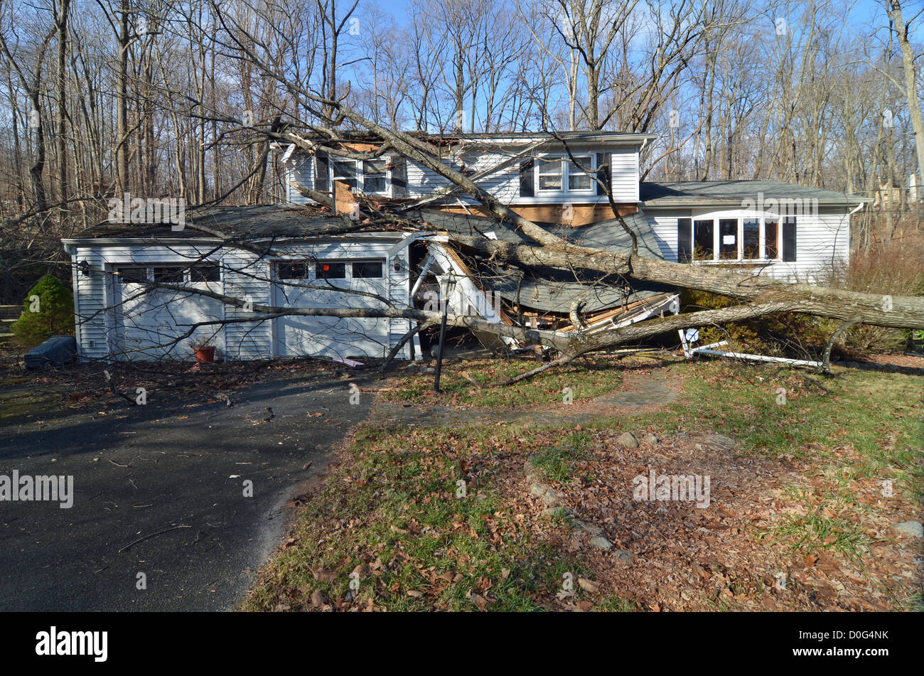 High winds caused by Superstorm Sandy on Oct. 29, 2012, blew down many trees in Sussex county. Byram was hit especially hard with many trees falling on the roofs of homes causing major structural damage. Stock Photo