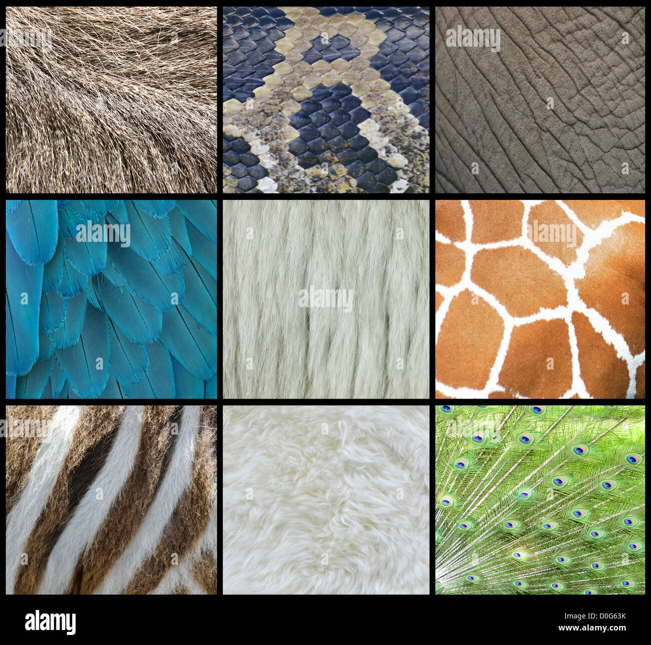 Animal skin pattern hi-res stock photography and images - Alamy