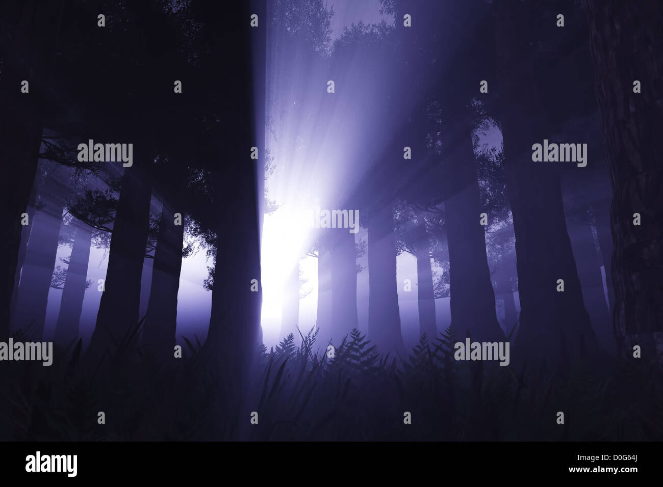 Supernatural scene in dark deep forest 3D render Stock Photo