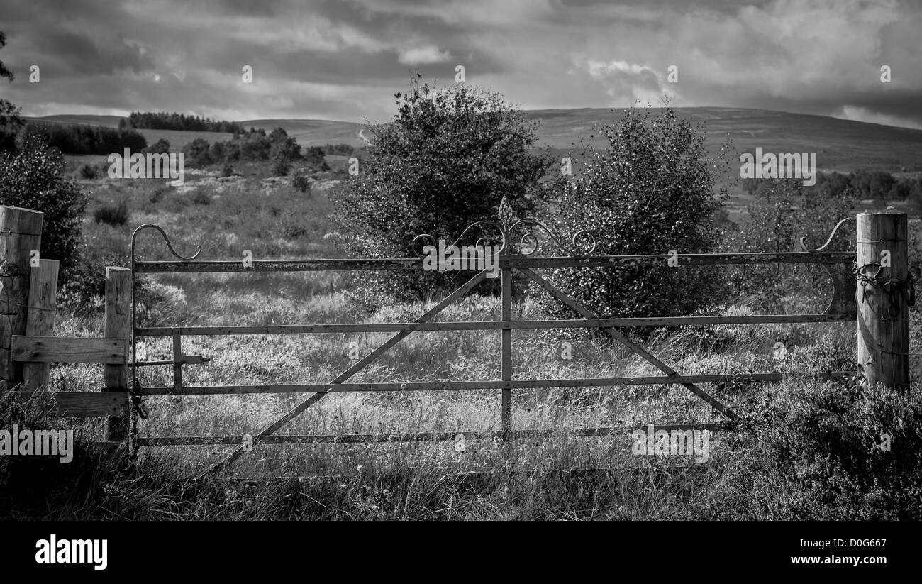 Field gate Black and White Stock Photos & Images - Alamy