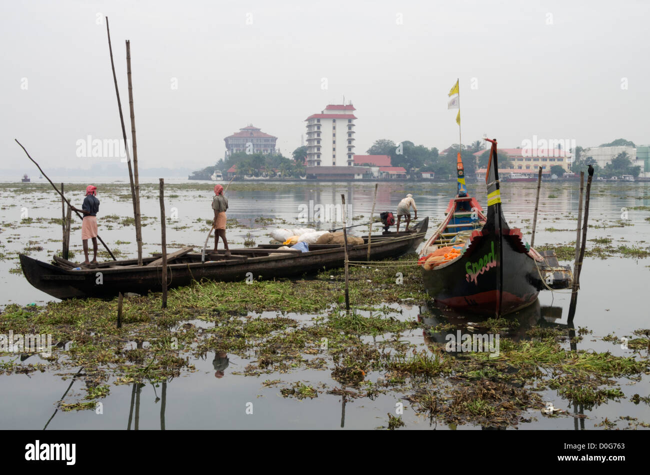 Fishing boats in Cochin Kerala India surrounded by water hyacinth weeds Stock Photo