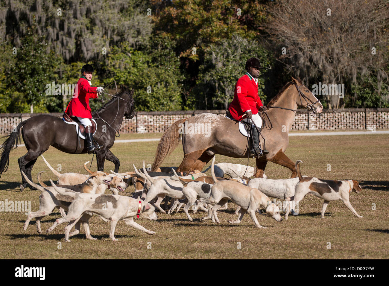 Middleton Hunt Fox hunters gather at Middleton Plantation for the annual Blessing of ...
