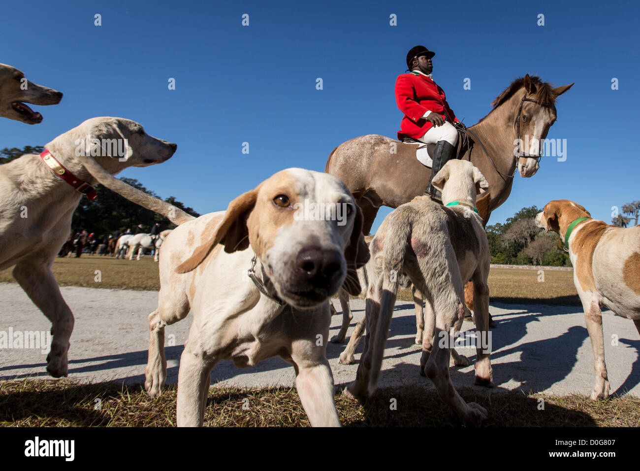 Middleton Hunt Fox hunters gather at Middleton Plantation for the annual Blessing of ...