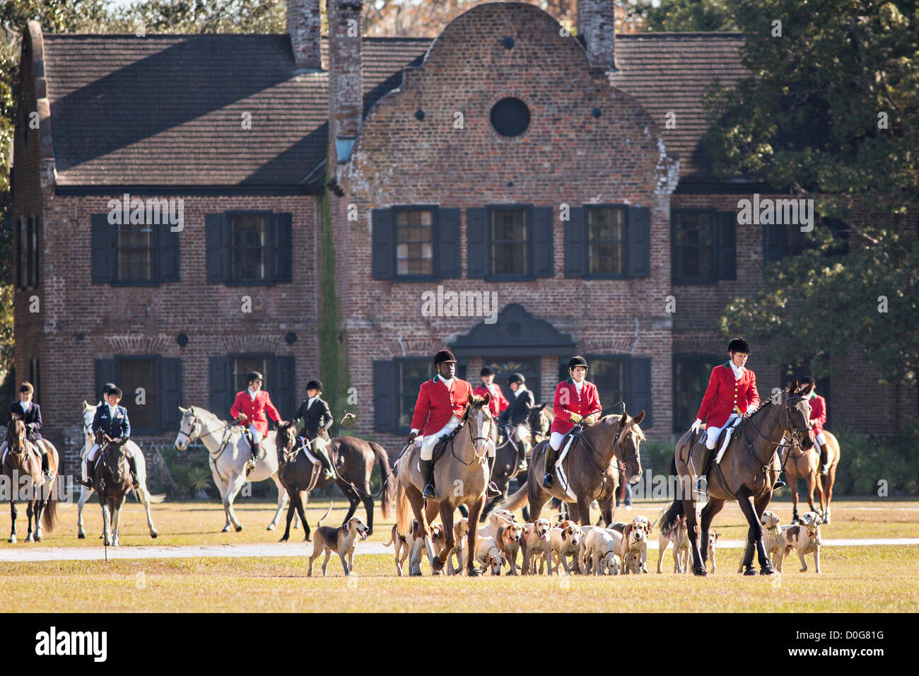Middleton Hunt Hounds middleton place fox hunt hi-res stock photography and images - Alamy