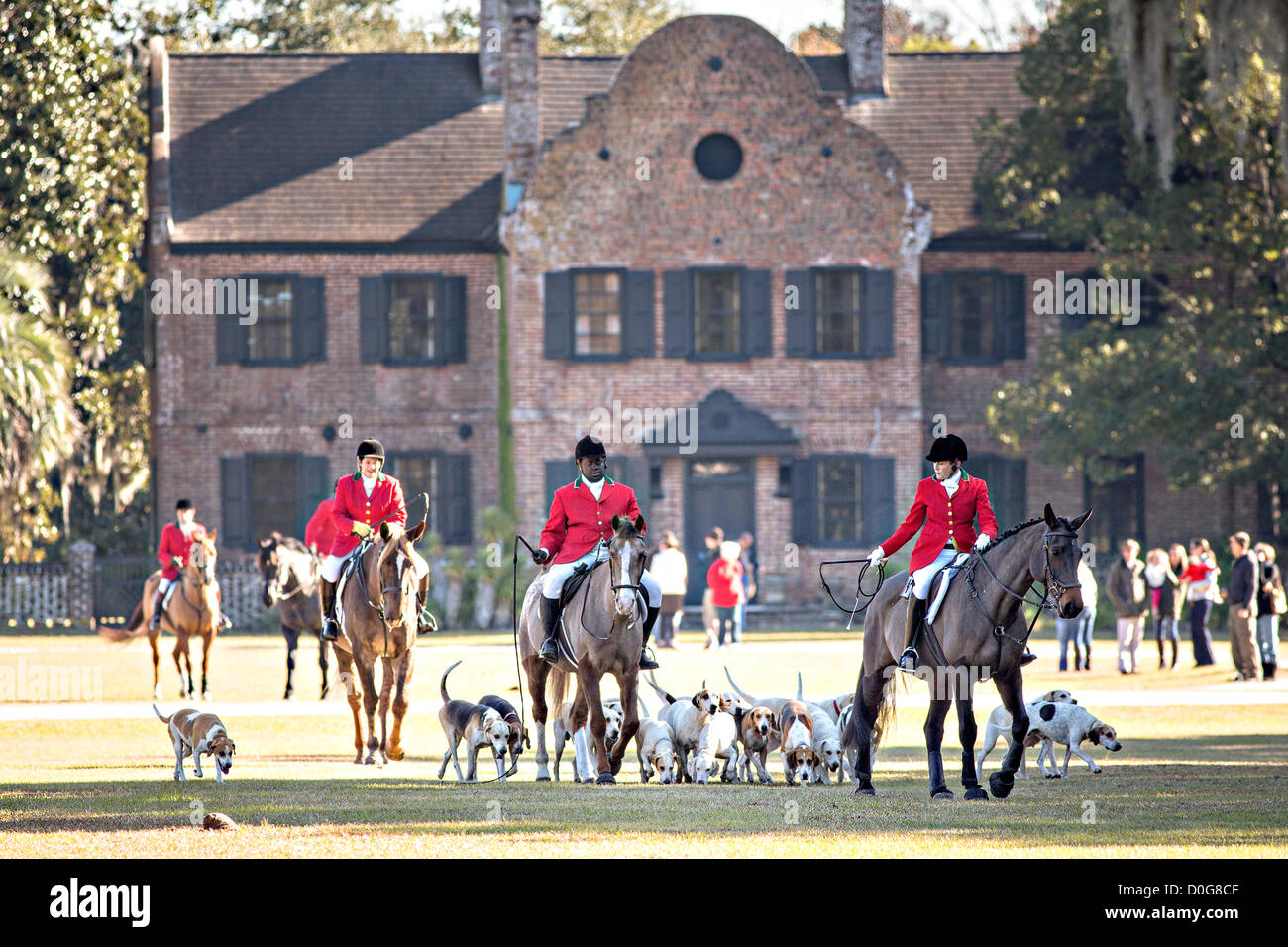 Middleton Hunt Huntsmen Jamie Green leads the hounds at the start of the first hunt of ...