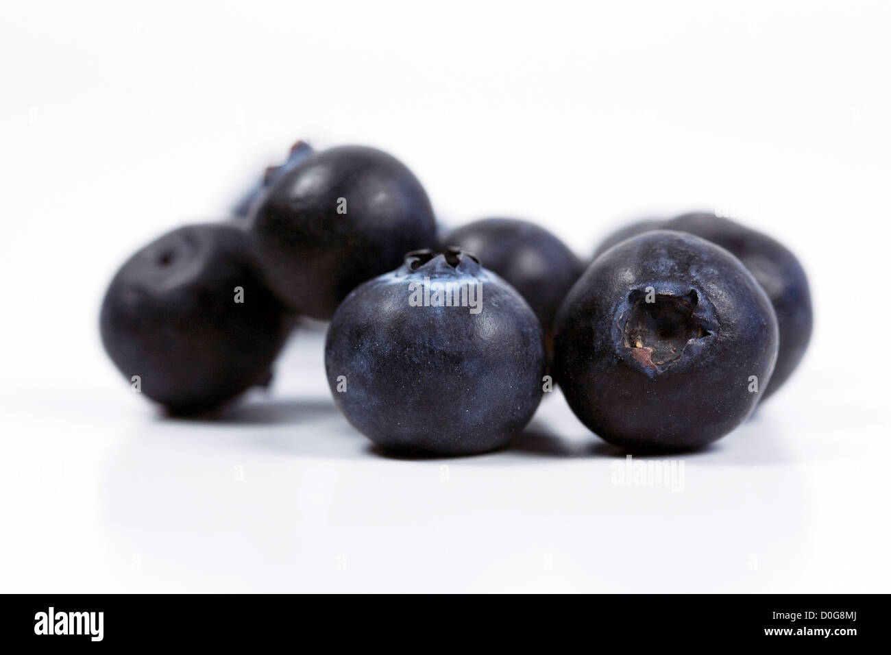 Vaccinium corymbosum. Blueberries on a white background. Stock Photo
