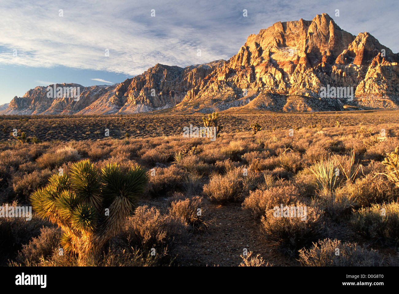 Nevada Spring Spring Mountain Nevada Stock Photo - Alamy