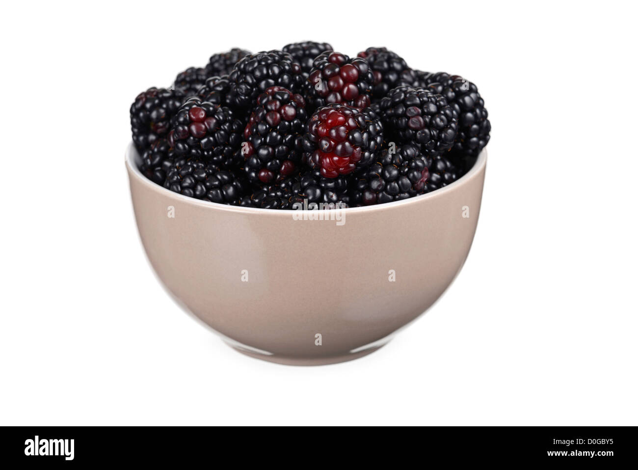 Blackberries in Bowl Stock Photo
