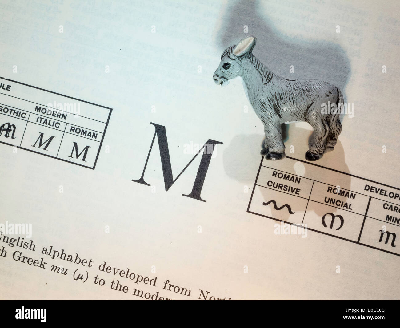 The Letter M In the Dictionary with Toy Mule, Still Life Stock Photo
