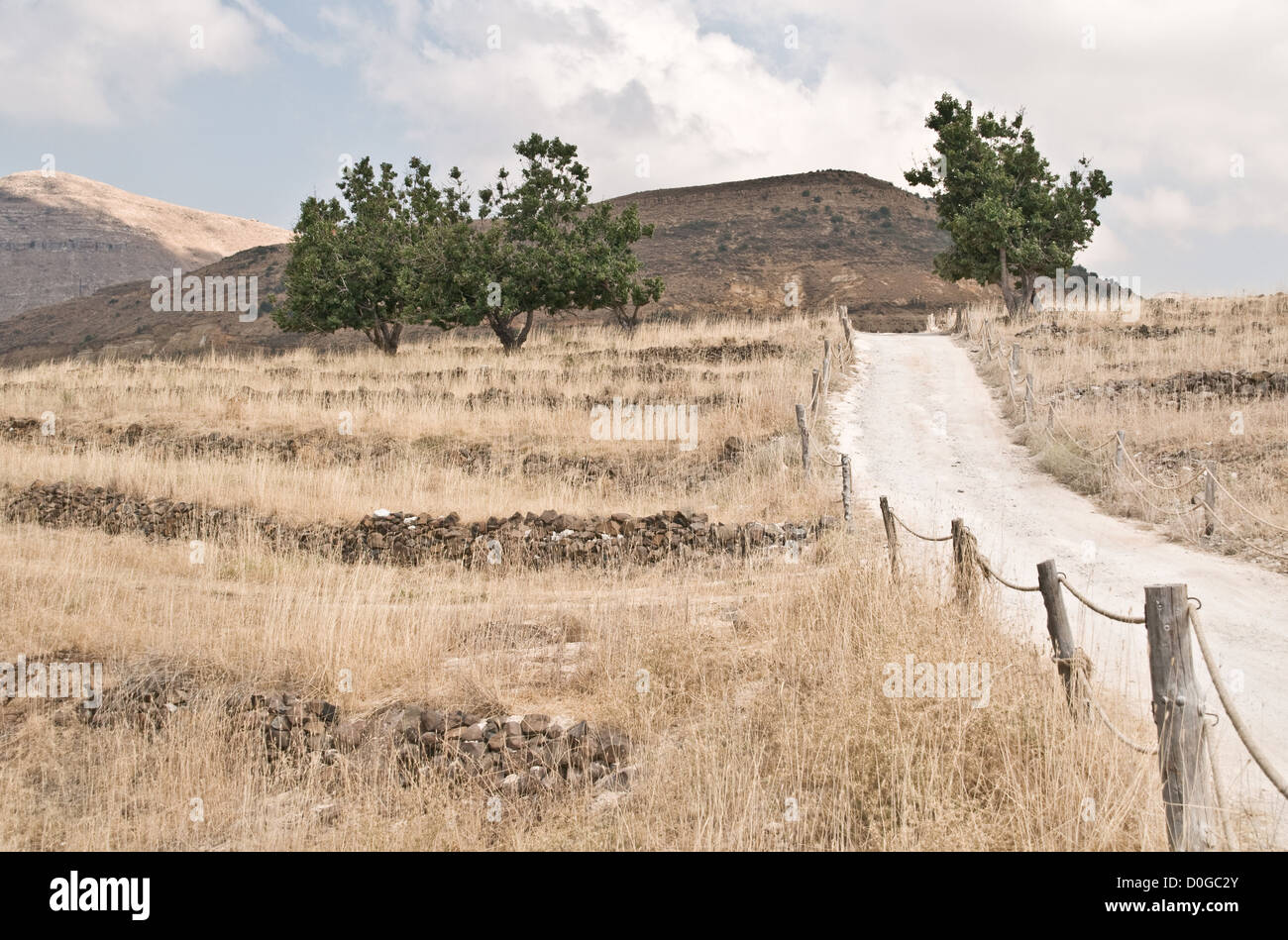 A gravel road in the mountains of the Wadi Tannourine region of Mount