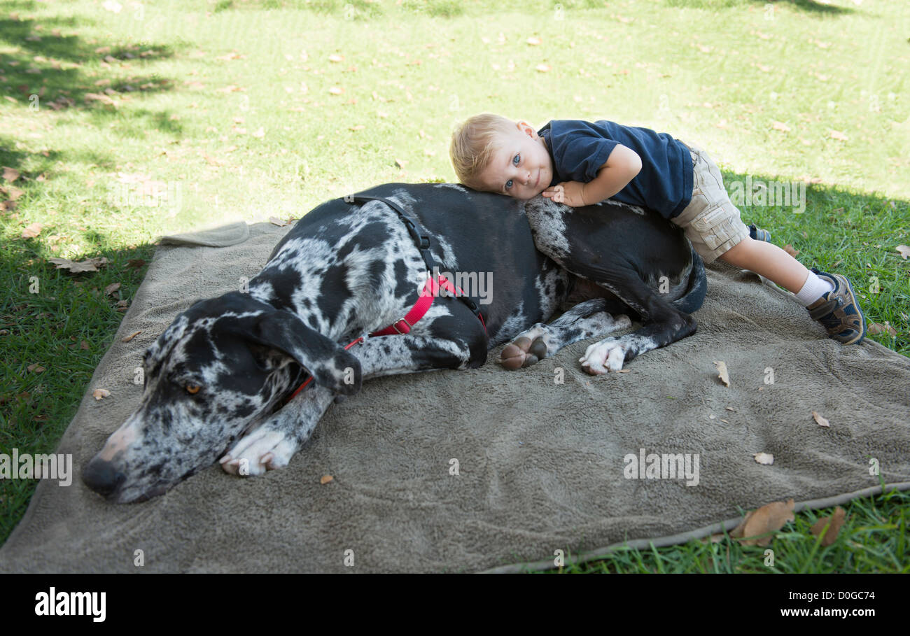 Little Boy and Big Dog Stock Photo