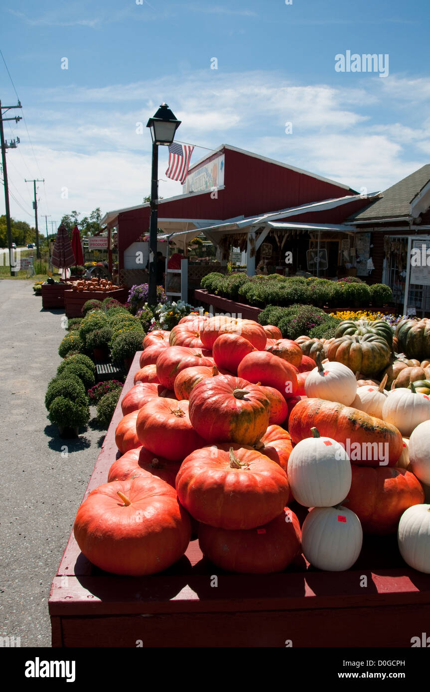 USA, Leesburg in rural Virginia, Heider's vegetable and fruit stand