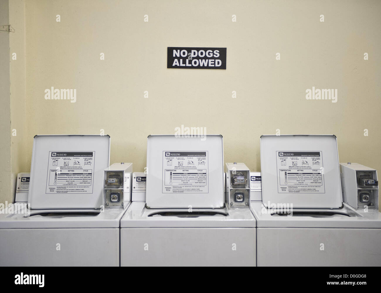 Dog washing machines hires stock photography and images Alamy